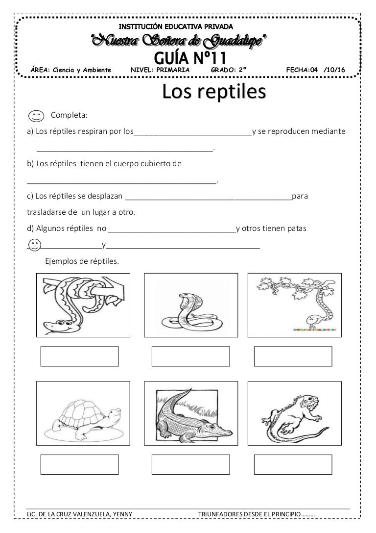 Los reptiles