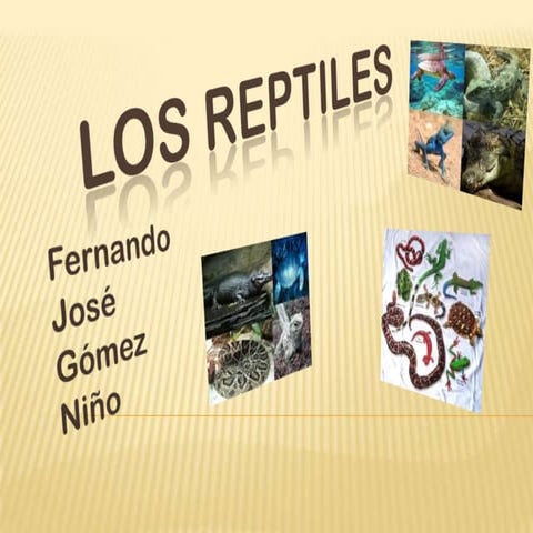 Los reptiles (2)