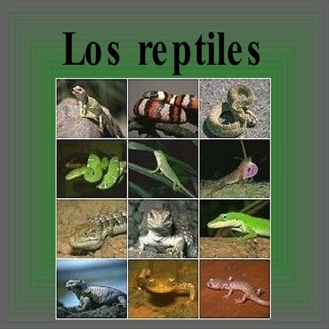 Los reptiles.