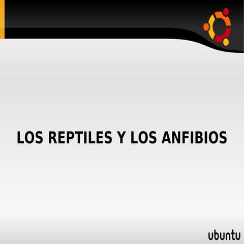 Los reptiles y anfibios