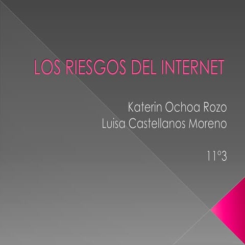 Los riesgos del internet