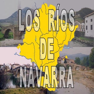 Los ríos de navarra