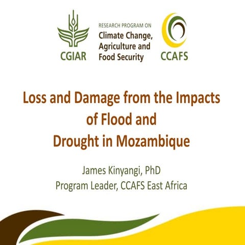 Loss and Damage Case Study  CCAFS - ACPC Presentation