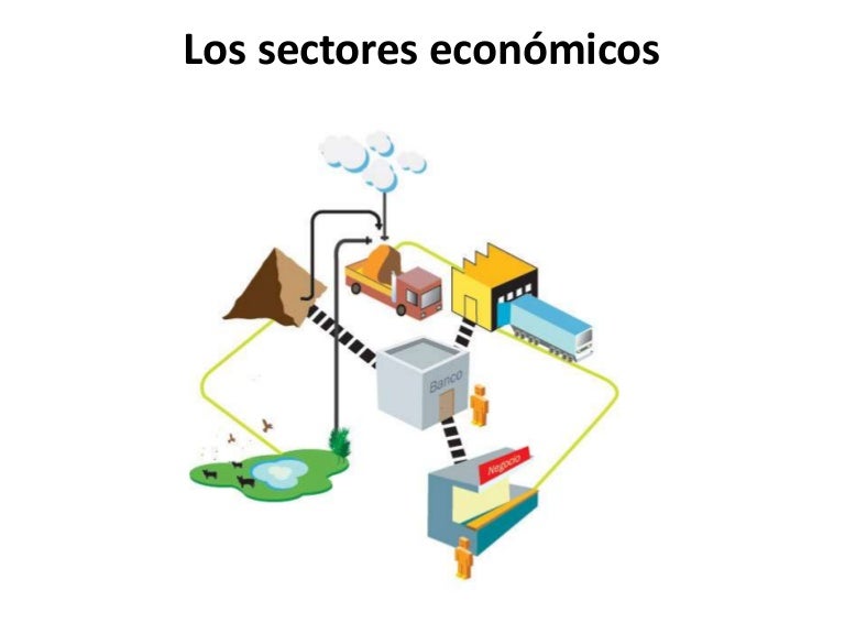 Los sectores económicos