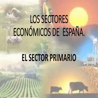 Los sectores economicos de  España