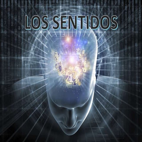 Los Sentidos