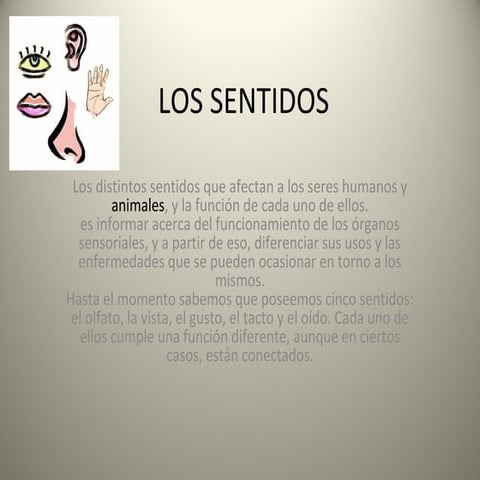 Los sentidos