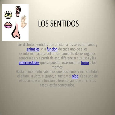 Los sentidos