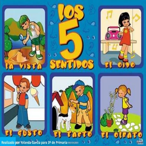 Los sentidos