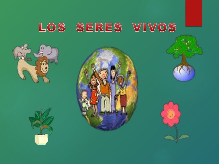 Los Seres Vivos