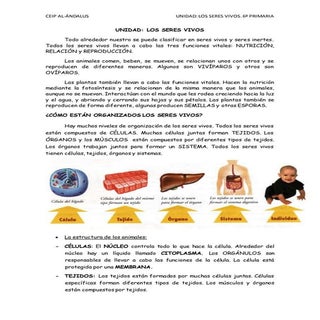 Los seres vivos