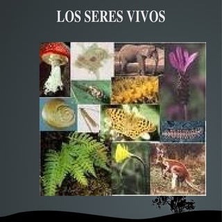Los seres vivos 2