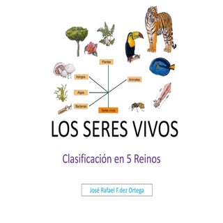Los cinco reinos de seres vivos 5º ...