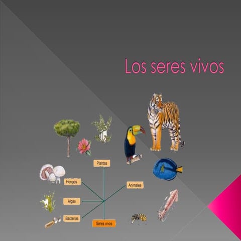 Parte VIII: Los seres vivos
