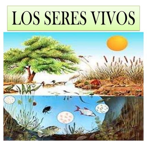 Los Seres Vivos Diapositivas
