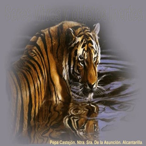 Los seres vivos objetos inertes  ppt