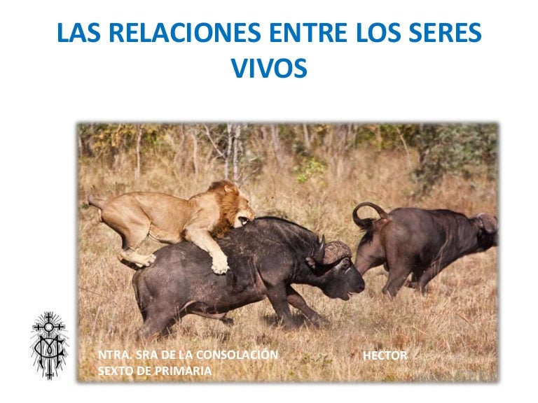 Los seres vivos se relacionan