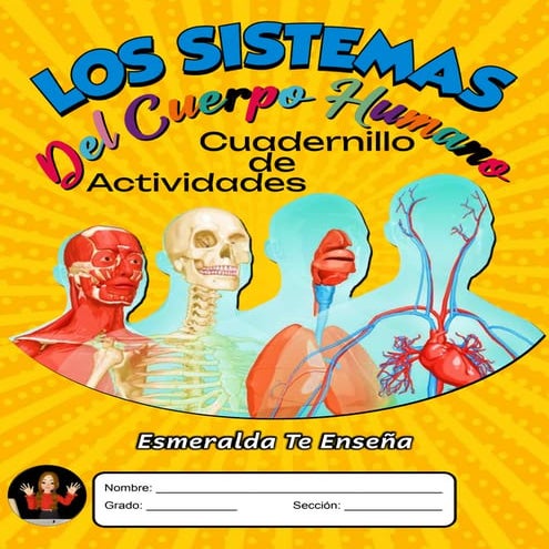 🧠LOS SITEMAS DEL CUERPO HUMANO-CUADERNILLO DE ACTIVIDADES🦴Esemeralda Te Enseñ...