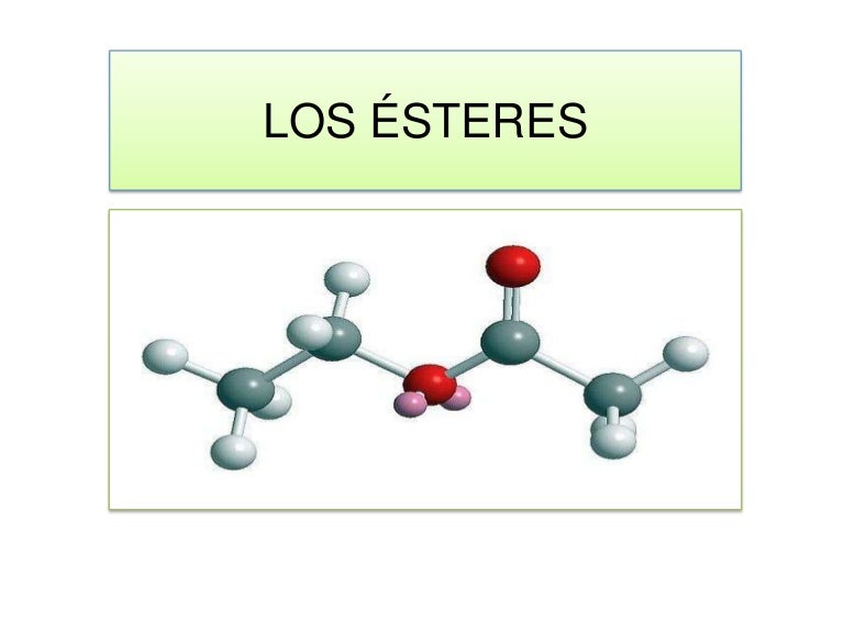 Los ésteres diapositivas Los ésteres diapositivas