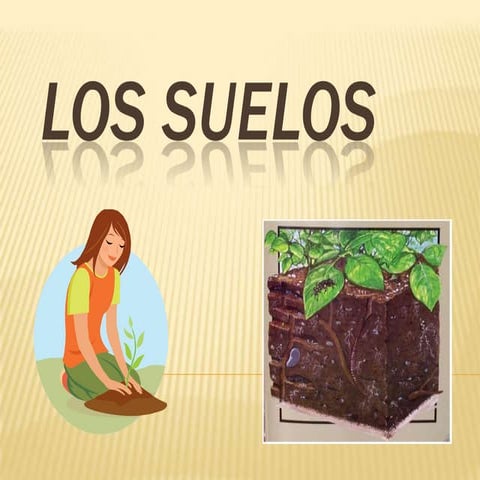 Los suelos