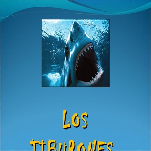 Los tiburones omar nueva