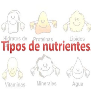 Los tipos de nutrientes