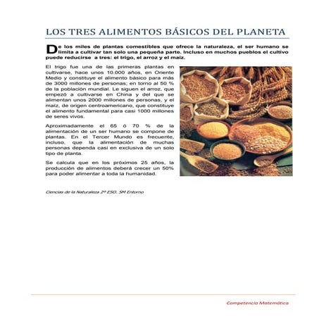 Los Tres Alimentos BáSicos Del Planeta
