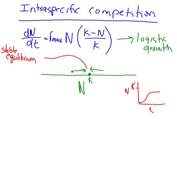 Lotka-Volterra Model of Competition
