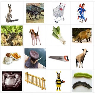 Lotos foneticos  s-t-ch-ll-ñ-z-rr-f...