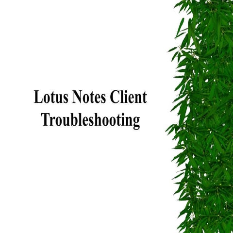 Lotus Notes Client Troubleshooting