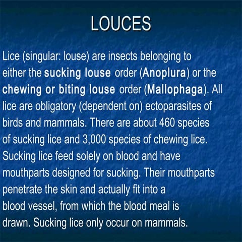 Lice | PPTX