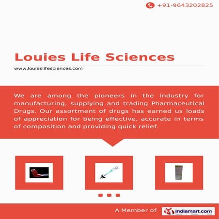 Samchem Group Brochure.pdf