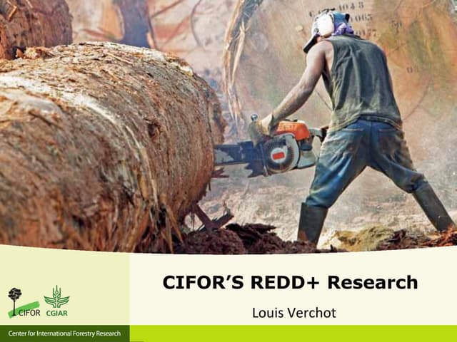 CIFOR's REDD+ research 