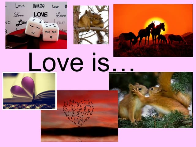 Love by Helen Fisher, a presentation for February 14