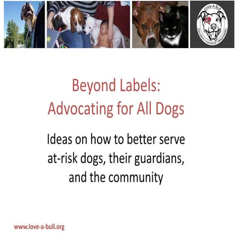Love a-bull, beyond labels: Advocating for all dogs