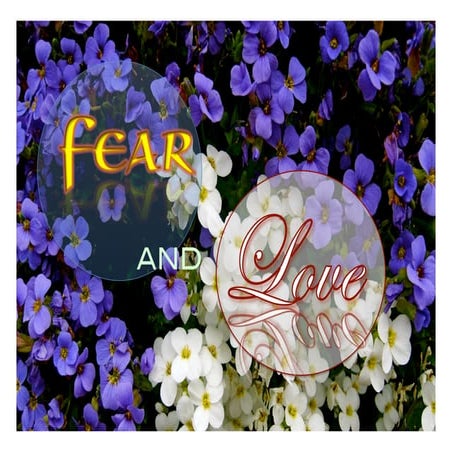 Love - fear, and what is Yogic Flying?