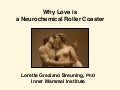 Why Love is a Neurochemical Roller Coaster