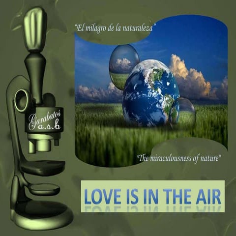 Love is in The Air. (Scientist Martin Oeggerli)