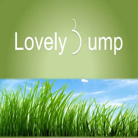 Lovely Bump Presentation