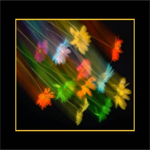 Love Me Tender... Love Me True...   2009