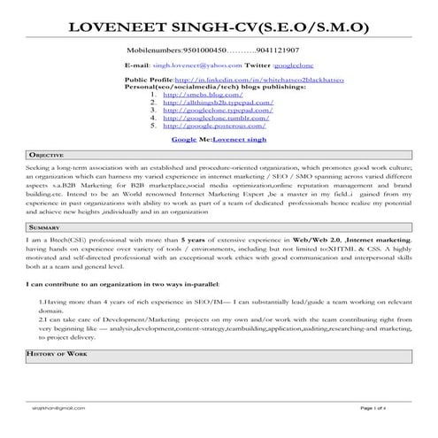 Resume David Pires | PDF