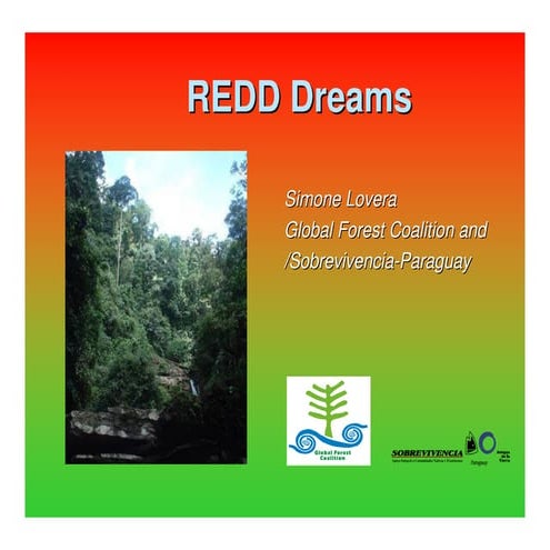 Lovera, S  (2009) Redd Dreams