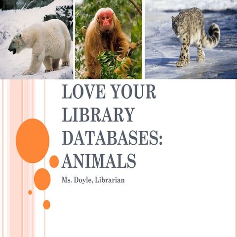 Love your library databases animals