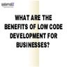 What Are The Benefits Of Low Code Development For Businesses | PPT