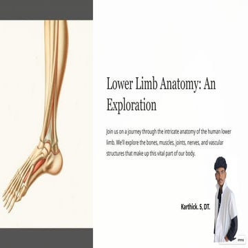 Lower-Limb-Anatomy-An-Exploration By Karthik S | PPTX