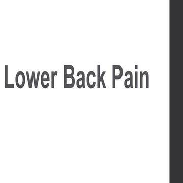 Lower Back Strengthening Exercise