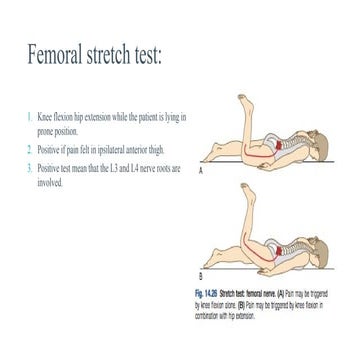 lower back pain tests for patients with back pain.pptx