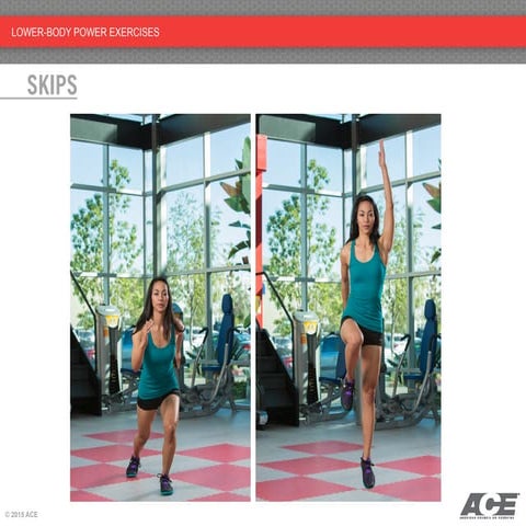 Lower body exercises | PDF