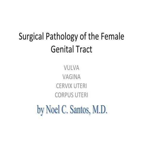 Lower female gen tract lecture
