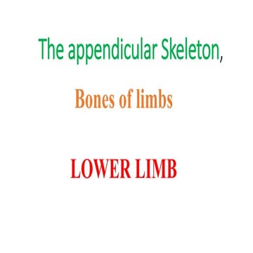 lower limb.pptx